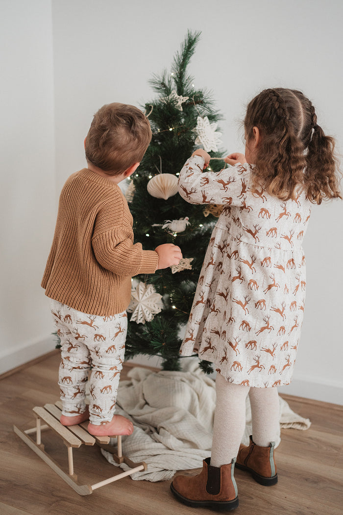 SNOWY REINDEER QUINNY DRESS